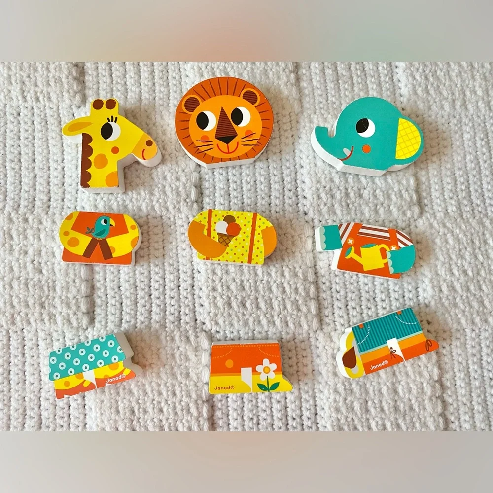 Janod Wooden Magnetic Toy